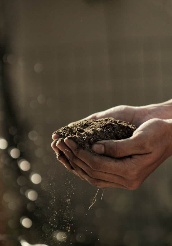 Hands holding soil